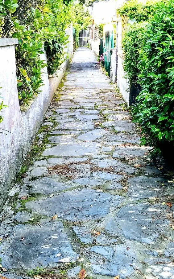 Casa Tonfoni Villa Torre del Lago Puccini 0*,